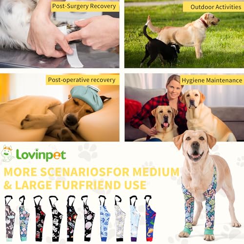 Image of LovinPet Dog Elbow Protector Anti-Licking Elbow Sleeve, Adjustable, Comfortable & Durable Front Leg Guard for Medium to Large Dogs, Prevents Licking and Chewing,Dog Sleeve,Dog Leg Sleeve,Green
