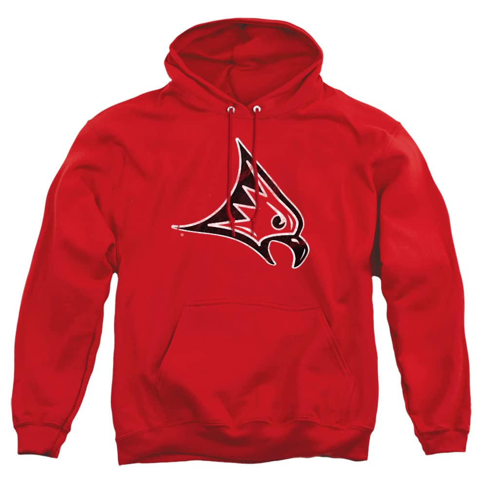 LOGOVISION Official Collegiate Distressed Primary Logo Adult Pullover Hoodie Collection — view 221