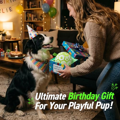 QDAN Glow in The Dark Dog Toys Soccer Ball with Straps, Outdoor Interactive Dog Toys Puppy Birthday Gifts, Dog Tug Water Toy, Light Up Dog Balls for Small & Medium Dogs（6 Inch Size 2） — view 5