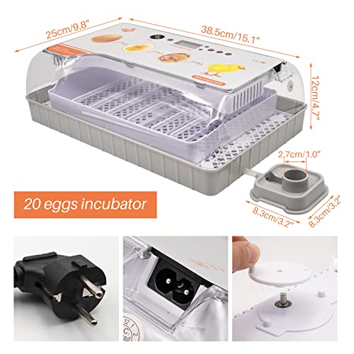 Brutmaschine Vollautomatisch 20 eggs incubator Intelligenter digitaler Inkubator mit LED Temperaturanzeige und… – Bild 5