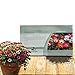 Outsidepride Ice Plant Ground Cover Seed Mix - 10000 Seeds