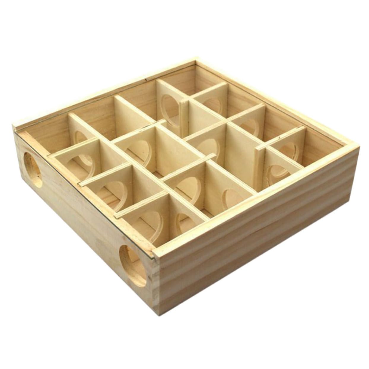 ERINGOGO Hamsterlabyrinth Labyrinthfunktion mit Spielzeug