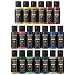 Arteza Set de pintura acrílica para manualidades, 20 Tonos Clásicos a base...