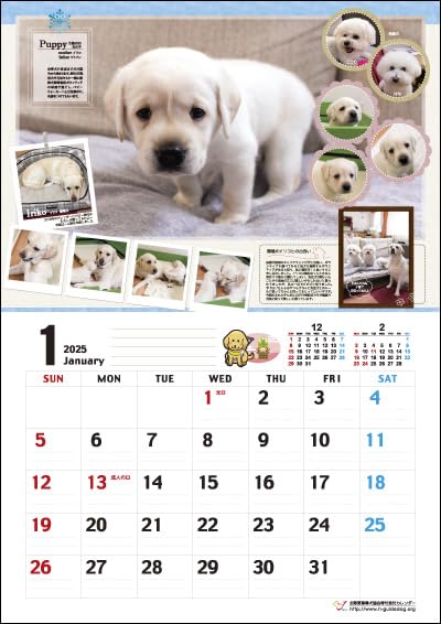 Amazon | 盲導犬寄付金付 「スマイルカレンダー」＆「盲導犬PR隊 卓上