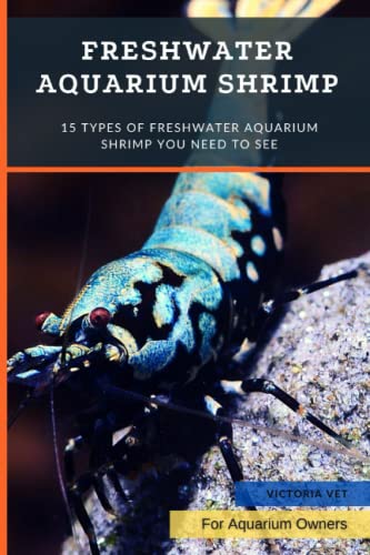 Freshwater Aquarium Shrimp: 15 Types Of Freshwater Aquarium Shrimp You Need To See
