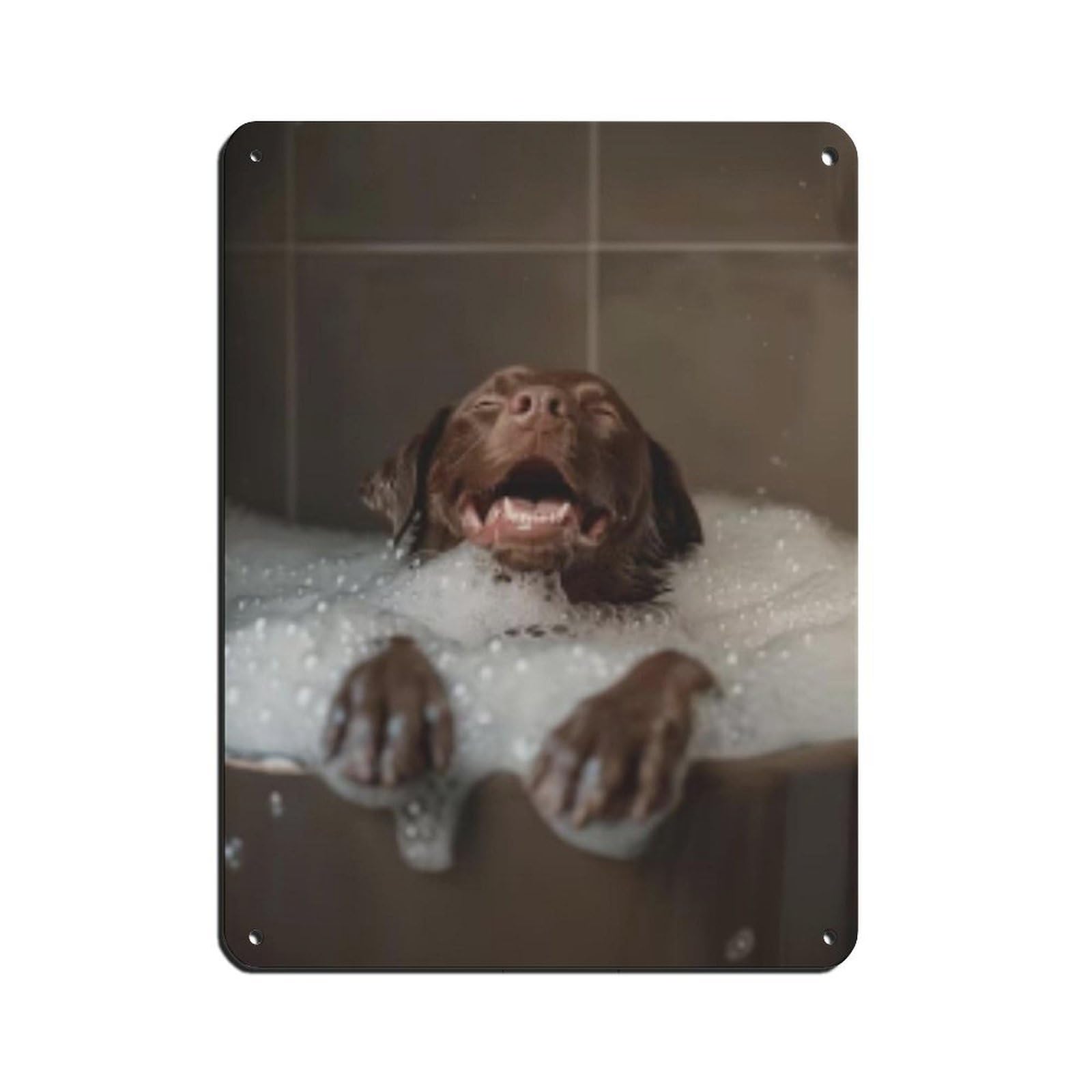 Chocolate Labrador Retriever Bathroom Art (2) Tin Sign Vintage Metal Pub Club Cafe Bar Home Wall Art Decoration Poster Retro 12x16inch(30x40cm)