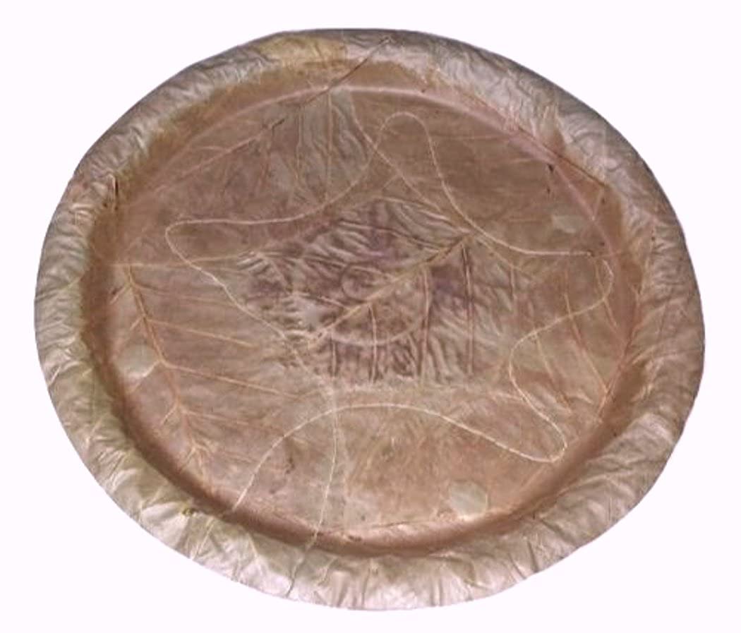 Plantzoin Patravali Khali patra Sala patra thali Sal leaf plate for Prasad Seban(100 Piece)