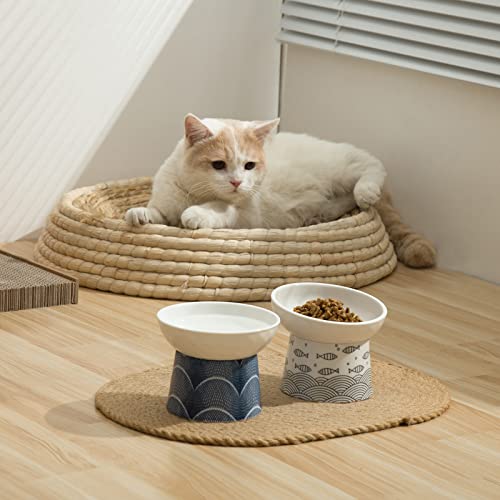Ceramic Raised Cat Bowls, Elevated Tilted Cat Food And Water Bowls Set, Porcelain Stress Free Pet Feeder Bowl Dish For Cats And Small Dogs, Dishwasher And Microwave Safe, Blue & Black, Set Of 2 #TOP6