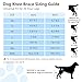 Noorace Dog Knee Brace for Torn ACL/CCL & Hind Leg Support - Adjustable Brace for Arthritis Relief, Joint Stability & Injury Recovery - Fits Small & Medium Dogs