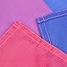 Flaglink Bisexual Pride Flag 3x5Fts - Bi Rainbow Banner
