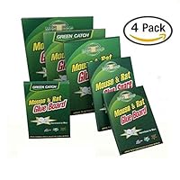 Alvaro Castagnet´s Watercolour Masterclass 3981761901 Book Cover