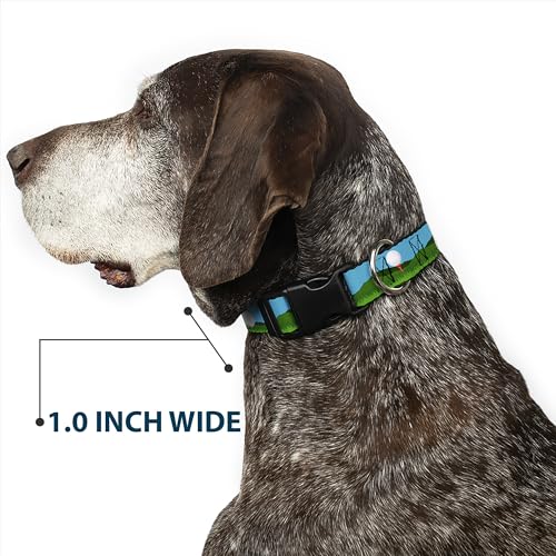 Collar de clip de plástico anti tirones con diseño de campo de golf verde y azul 7