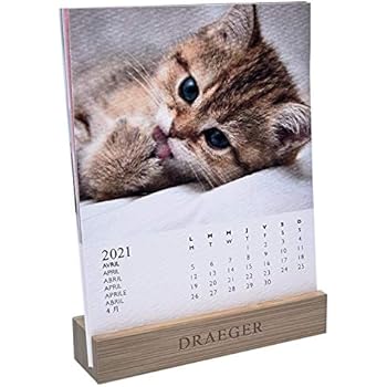 Legami 2021 Calendrier De Table Motif Chats 14 5 X 12 Cm Amazon Fr Fournitures De Bureau