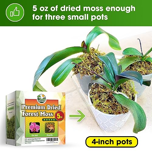 Duspro Premium Dried Forest Moss For Potted Plants, Ideal For Orchid Moss Potting Mix Indoor Moisture Repotting Orchid Soil Medium, Terrarium Decor, Natural Reptile Vine 5Oz #TOP3