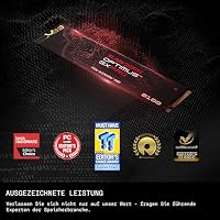 SANDISK Optimus GX PRO 8100 PCIe Gen 5 NVMe SSD 1 TB (bis zu 14.900/11.000 MB/s sequentielle Lese-/Schreibgeschwindigkeiten, TLC 3D CBA NAND) – Ansicht 2