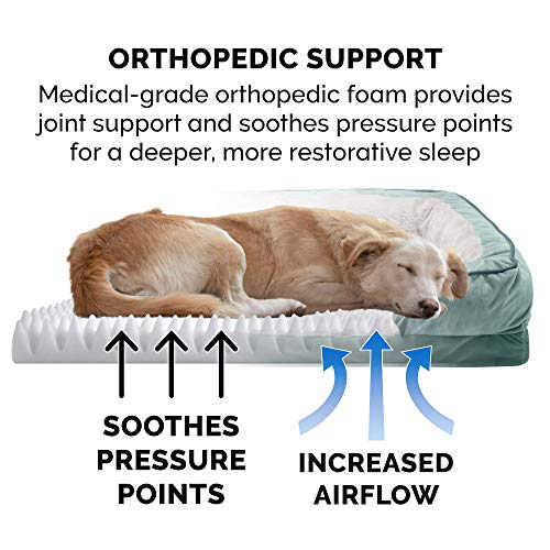 Furhaven Orthopedic Dog Bed For Large Dogs W/ Removable Bolsters & Washable Cover, For Dogs Up To 95 Lbs - Plush & Velvet Waves Perfect Comfort Sofa - Celadon Green, Jumbo/Xl #TOP3