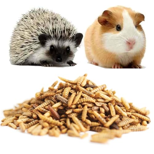 GardenersDream getrocknete Mehlwürmer- Narhaftes wildes Garten Vogelfutter