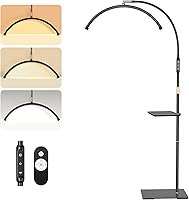 Vista 1 de Mznoo Lámpara de pestañas, luz de media luna de 6500 K para pestañas con bandeja de herramientas, luz de luna LED ajustable para tecnología