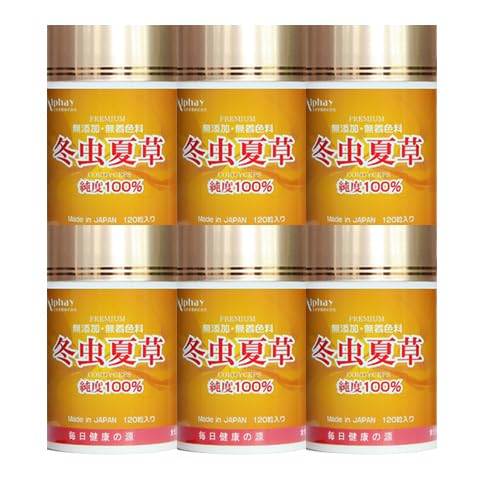 サナギダケ冬虫夏草 6本セット