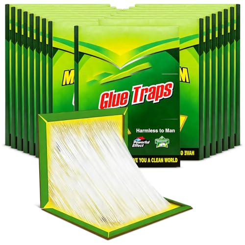 Tccydm Trampa Pegamento Ratones 16 Piezas, Trampa para Ratas y Ratones, Placas Adhesivas con Pegamento Extra Fuerte, Trampas Anti Roedores e Insectos, Sin Tóxicos, Uso Interior Exterior