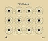 Official NRA Target AR- 4/10, 5 Meter BB Gun Target, 14' x 12' (100)
