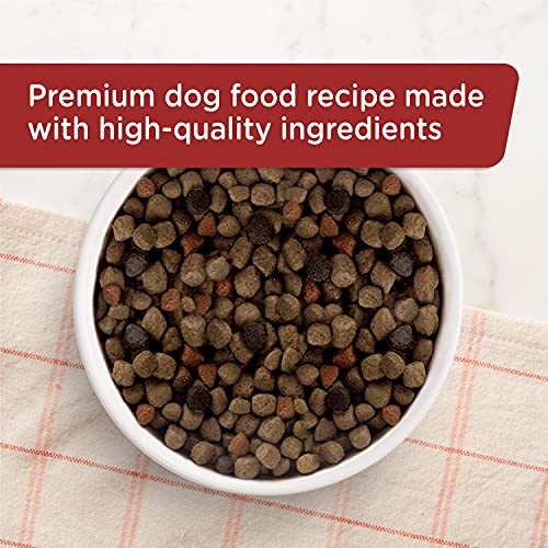 Nutrish 790050 Rachael Ray Premium Natural Dry Dog Food, Real Beef thumb #4