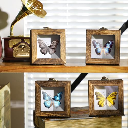 Image of Reallnaive 4 Pcs Insect Pinning Kit 4 inch Wooden Display Case Box, EVA Foam Insect Pinning Board, 100 Bug Pins for Butterfly Specimen Bugs Collection Tools(Carbonized Brown)