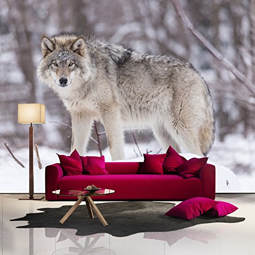 azutura Grey Wolf Wall Mural Wallpaper available in 8 Sizes Digital