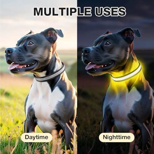 PcEoTllar Leuchthalsband Hund, Leuchtendes Hundehalsband Aufladbar 7 Farben mit 9 Leuchtmodi, LED Halsband für Hunde Wasserdicht, Leuchthalsband für Kleine Mittlere Große Hunde, Schwarz-M