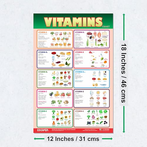 Image of ESCAPER Educational Charts for Kids, Kids Learning Charts (11.5 x 17.5 inches), Wall Art, Posters for Kids Room & Playroom
