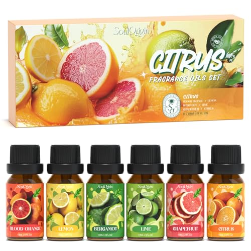 SoulOrigin Zitrusfrüchte ätherisches Öl Duftöle Set, Duftöl Set für Öldiffusoren, Duftöle für Seifenkerzen Herstellung 6x10ml - Blut Orange, Zitrone, Bergamotte, Limette, Grapefruit und Zitrus