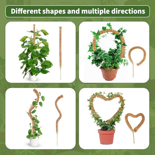 CNMTCCO 2 Stück 60 cm Moosstab Monstera für Pflanzen,Rankhilfe aus Kokosfaser,Rankhilfe für Kletterpflanzen mit Zubehör… – Ansicht 6