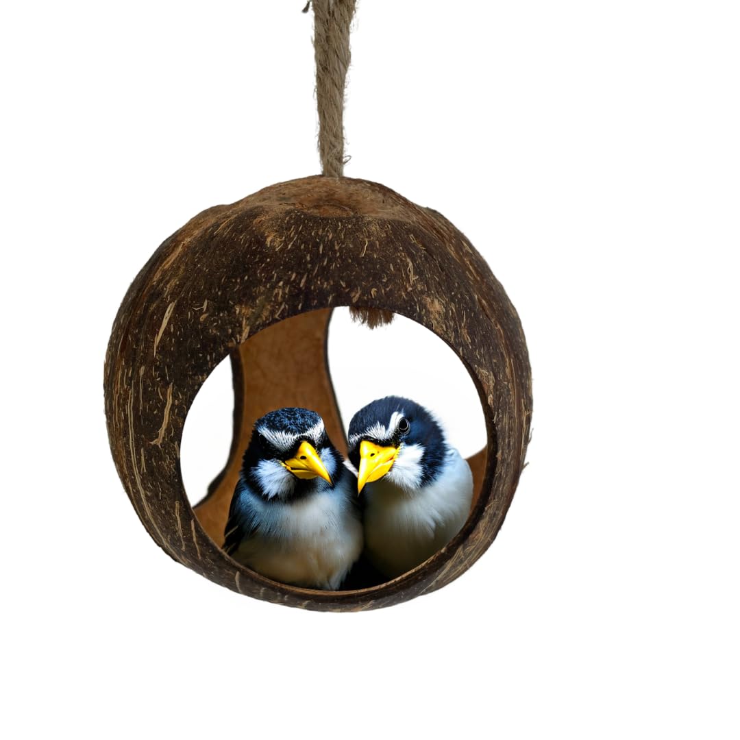 M-Tech Crafts Coconut Shell Small Bird Nest 100% Natural Coconut Shell Semi-Polished (10cm - Pack 1) (B0CG6HL8M5) Amazon Price History, Amazon Price Tracker