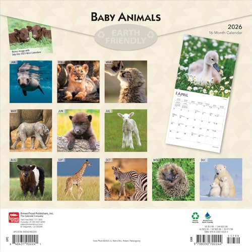 Baby Animals | 2026 12 x 24 Inch (Hanging) Monthly Square Wall Calendar | Plastic-Free | BrownTrout | Domestic Pets Chicken Small Cute - image 2