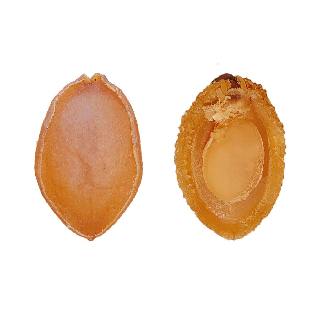 Amazon.com: Dried Abalone (100 g) : Grocery & Gourmet Food