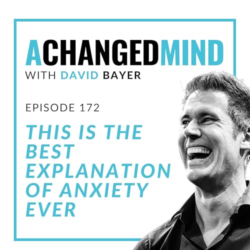 Page de couverture de 172 This is The Best Explanation of Anxiety Ever