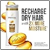 Pantene-Moisturizing-Shampoo-254-OZ-and-Silicon-Free-Conditioner-24-OZ-for-Dry-Hair-Daily-Moisture-Renewal-Bundle-Pack-Packaging-May-Vary Pantene Daily Moisture Renewal Shampoo and Conditioner