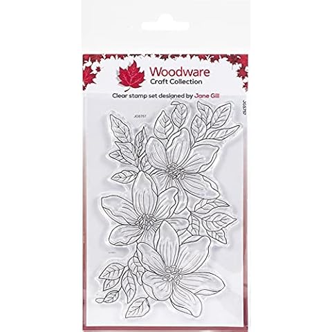 Woodware Sello Transparente Garden Spray Cover