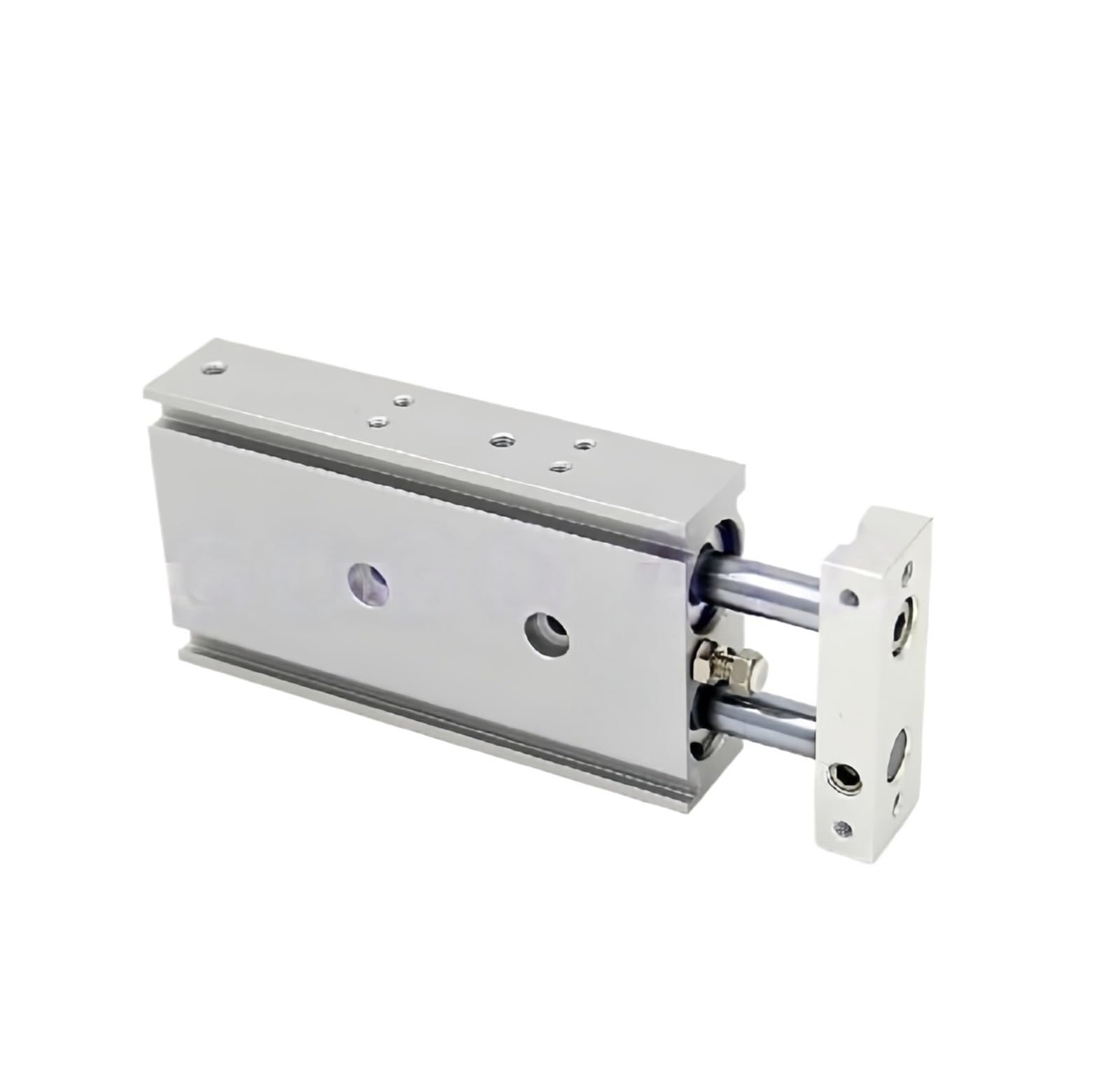 Vérin pneumatique CXSM25-100 à double tige et guidage par palier lisse