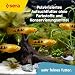 Micron Powder 50 ml | aufzuchtfutter für Fisch- und amphibienlarven | feines staubfutter | fördert die gesunde entwicklung und stärkt die abwehrkräfte