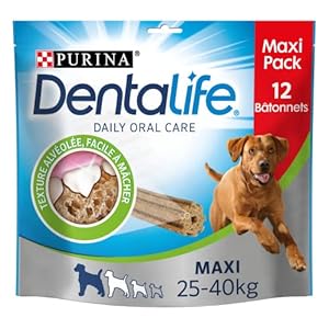 Purina Dentalife Zahnpflege-Snacks Maxi, 12 Stäbchen