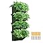 Winter Shore 20 cm Vaso Autoirrigante [2 Pezzi] - Vasi Plastica Bianchi e Marroni con Fori di Drenaggio, Sottovaso, Serbatoio d'Acqua - Autoirrigazione Piante Vaso per Piante da Interno e Esterno