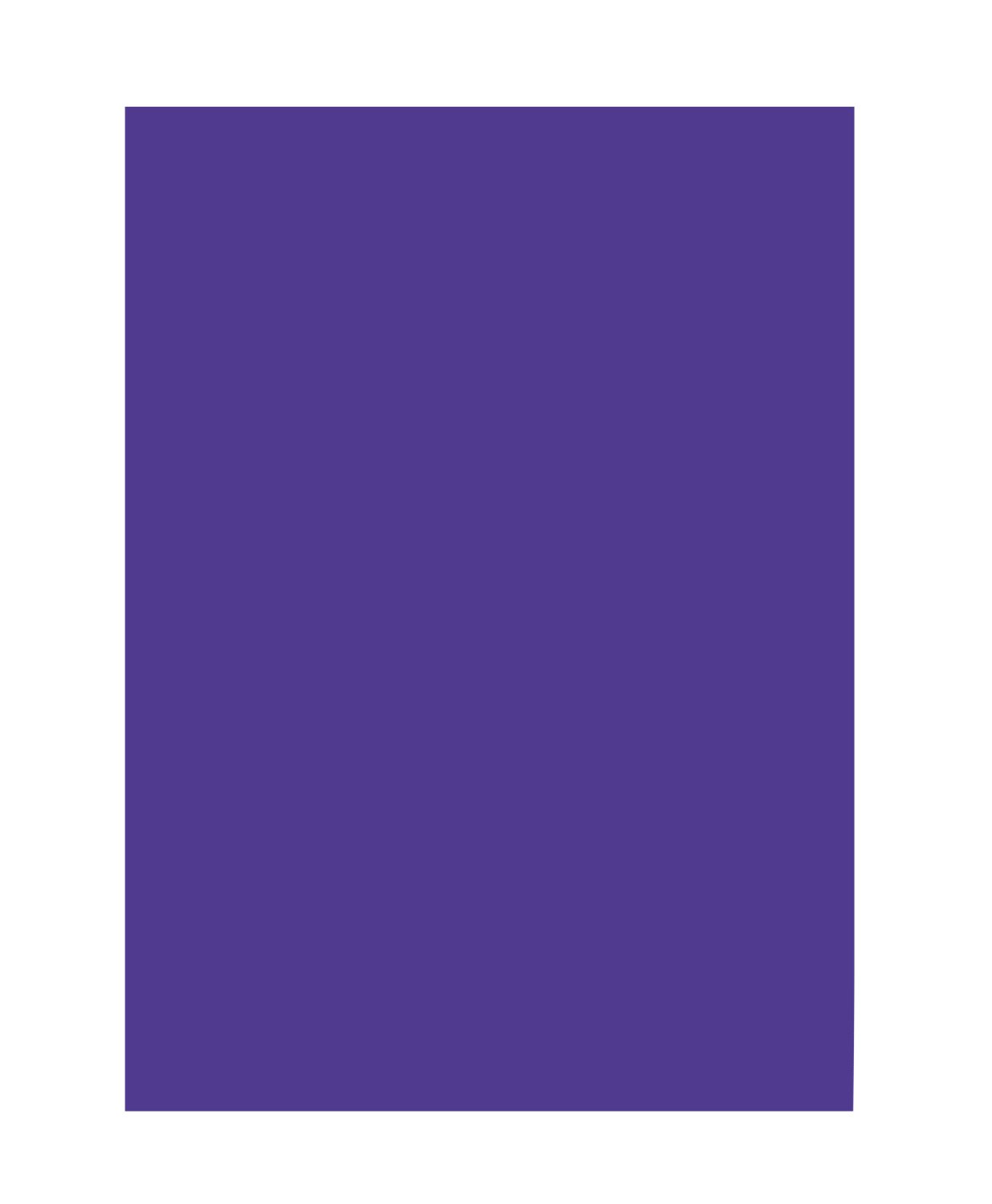 folia 6332 Coloured Paper, Dark Purple, DIN A3, 130 g/m², 50 Sheets, for Crafting and Creative Design of Cards, Window Pictures and for Scrapbooking