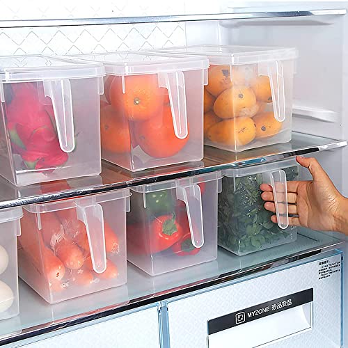 Image of Plastic Fridge Storage Organizer Container with Lid & Handle - 5L Transparent Refrigerator Organizer Box for Vegetables & Fruits (Pack of 1)