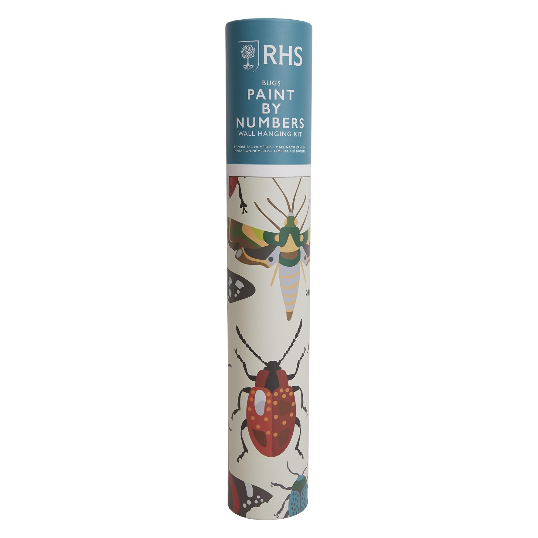RHS The Royal Horticultural Society Paint by Numbers Hanging Kit with 24 Paints & 3 Brushes, Bug Study Design, 400 x 500 mm, Multicoloured, Learn to Paint for Adults