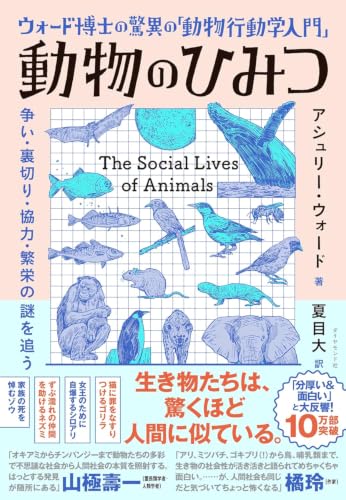 ウォード博士の驚異の「動物行動学入門」 動物のひみつ 争い・裏切り・協力・繁栄の謎を追う (単行本) / アシュリー・ウォード (著)＋［販売店ノベルティー］2024年03月27日発売 動物行動学 入門書 科学解説書