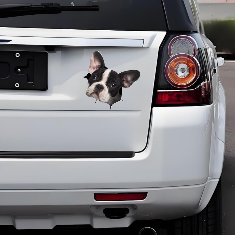 Lot 3 Autocollants Chat Grattage Voiture - Stickers 3D Drôles Dessin Animé - Idéal Voiture, Moto, PC, Valise, Frigo