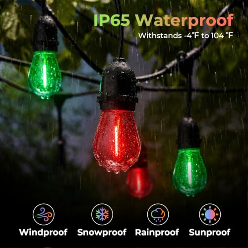 Image of GvvooHome 24 Pack S14 Red and Green Outdoor Light Bulbs for String Lights