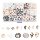Múltiples Opciones de Decoración: Una variedad de mini conchas marinas son excelentes materiales para cumpleaños y bodas. Sus diversas formas, colores y tamaños se adaptan a sus diversas necesidades, infundiendo a su espacio un ambiente playero único