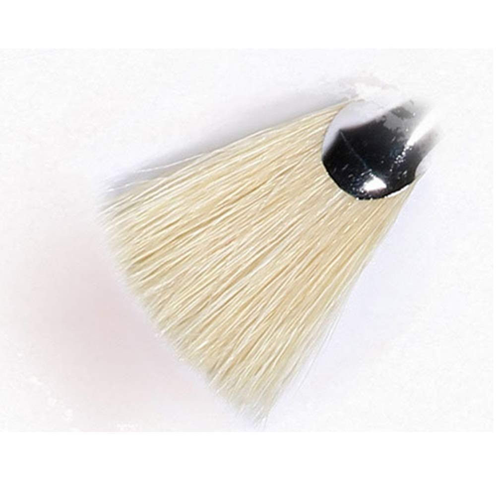 Set di Pennelli 6 PCS Ventilatori Pennelli Pittura a olio Perfetto for principianti Artisti Set per Principianti e Professionisti